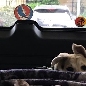 Meet your Posher, Jack